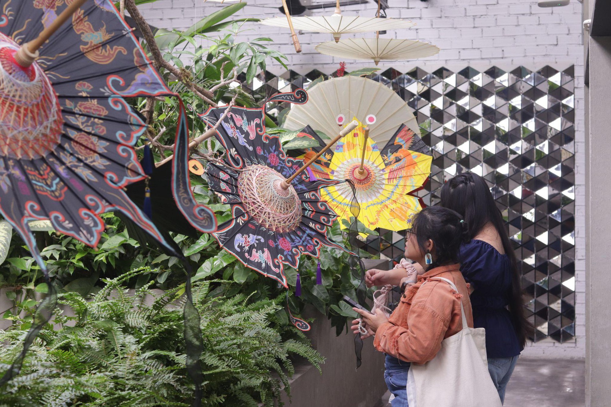 lọng bướm - Ảnh 8.