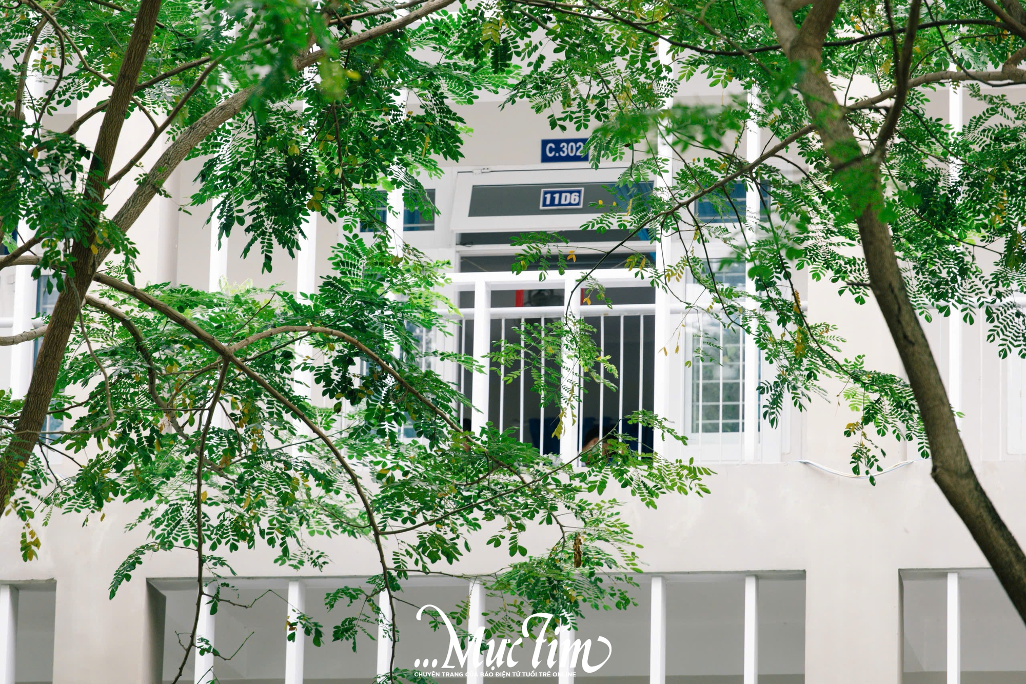 Những điều đặc biệt về Trường THPT Nguyễn Khuyến - Bà Rịa - Vũng Tàu- Ảnh 3.