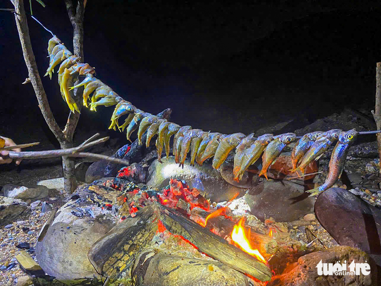 cá suối - Ảnh 8.