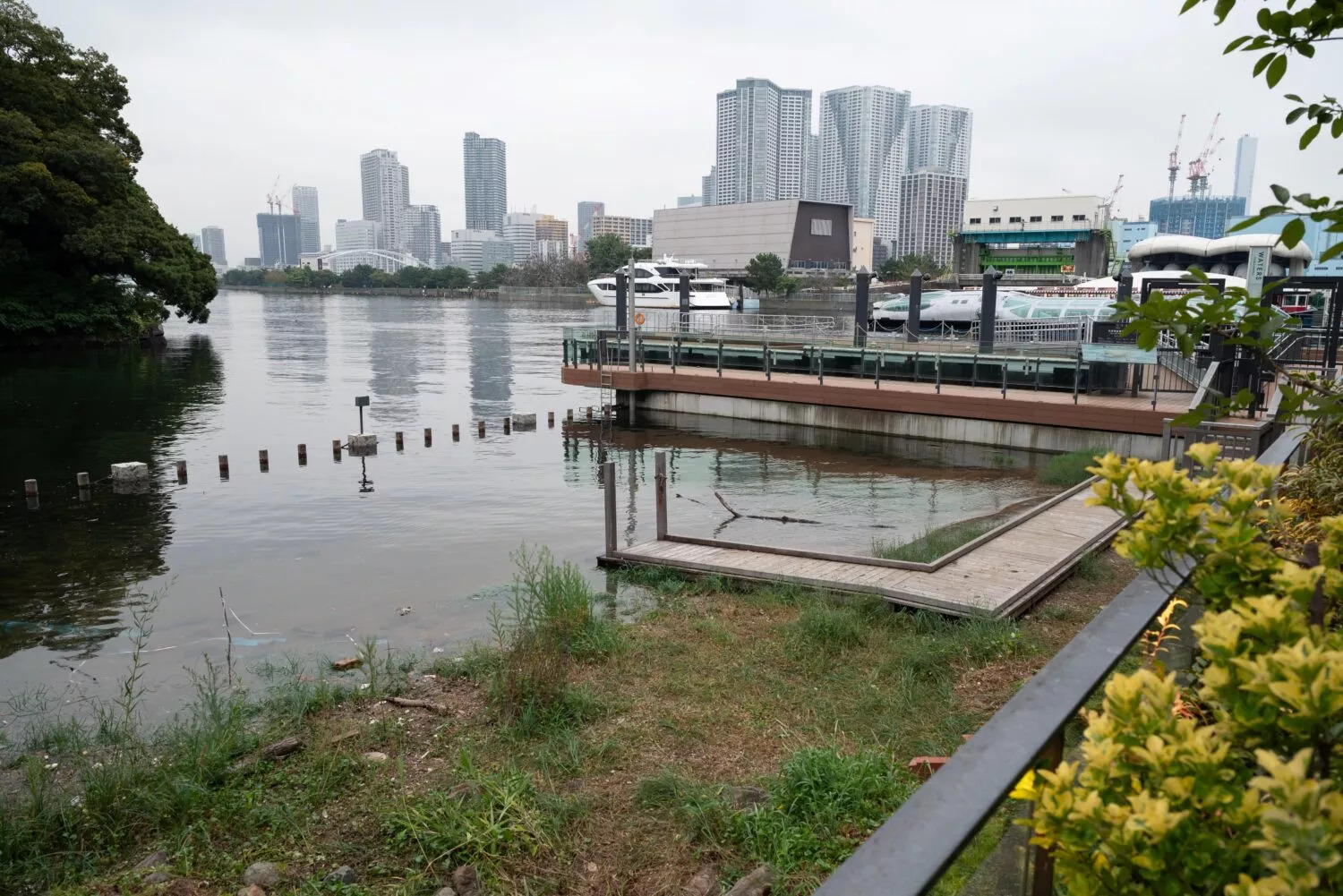 Tokyo builds climate resilience with AI and citizen action- Ảnh 2.