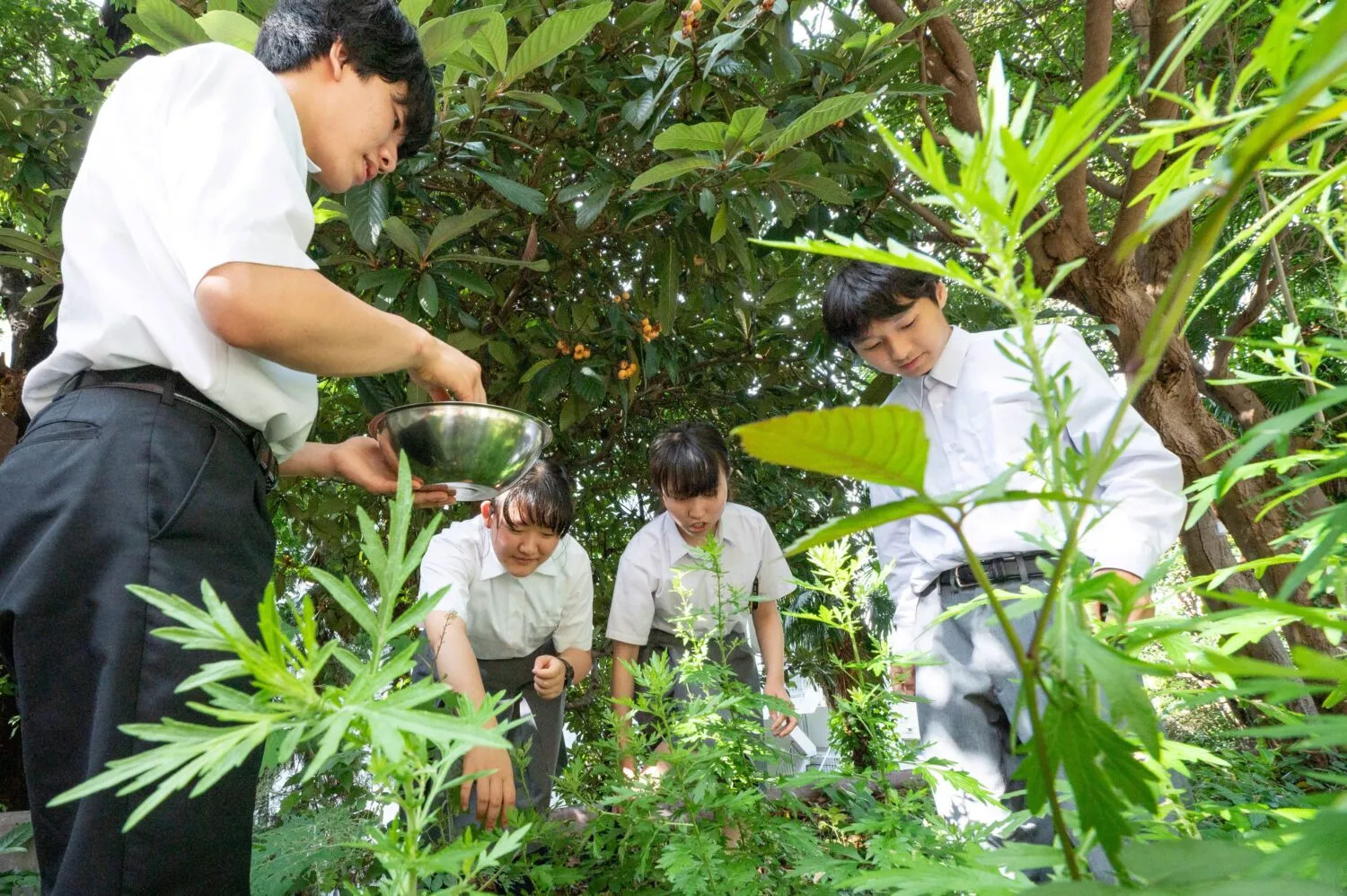 Tokyo builds climate resilience with AI and citizen action- Ảnh 3.