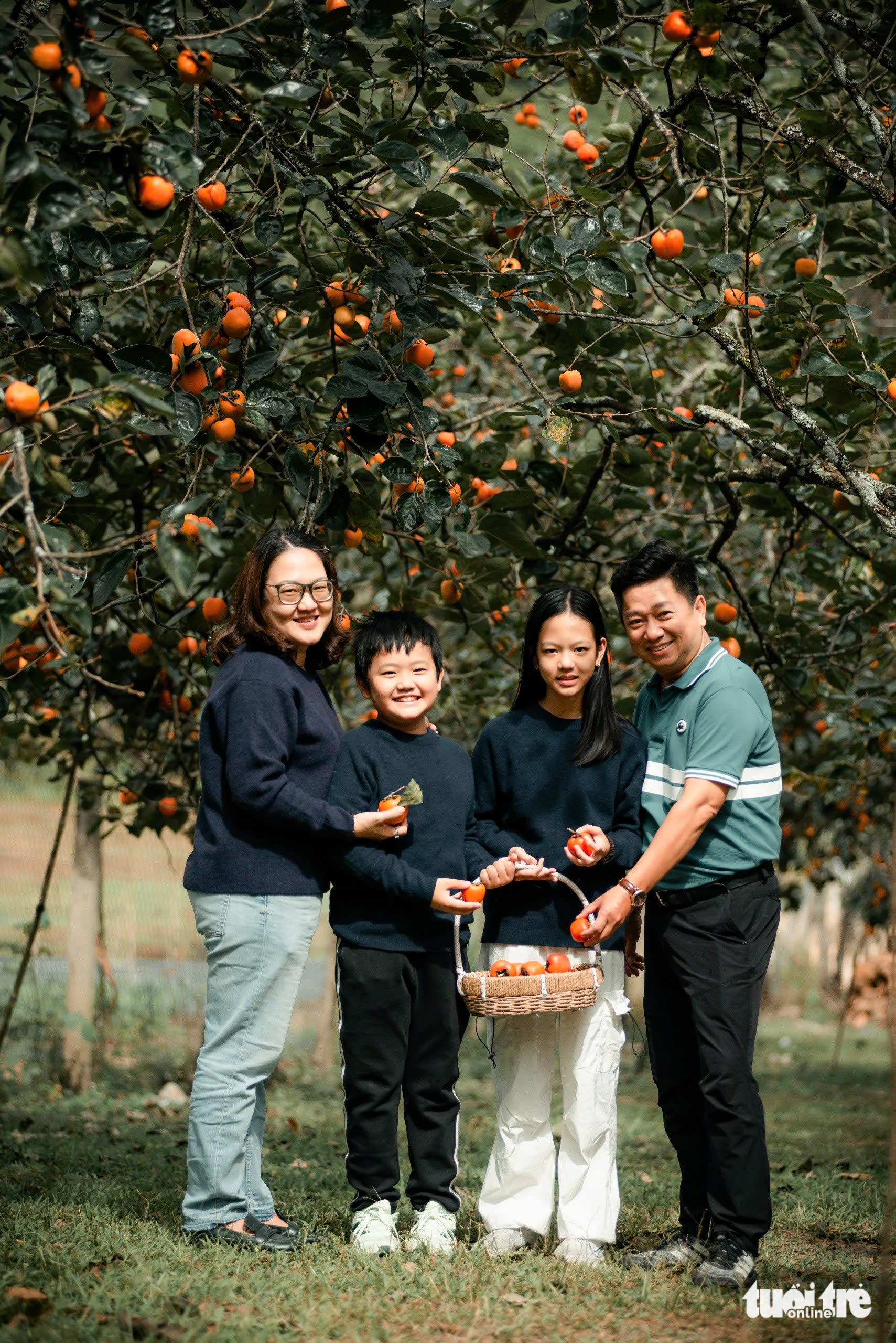 Vườn hồng Đà Lạt, nơi ai bước vào cũng hóa đoan trang- Ảnh 6. Vườn hồng Đà Lạt, nơi ai bước vào cũng hóa đoan trang- Ảnh 6.