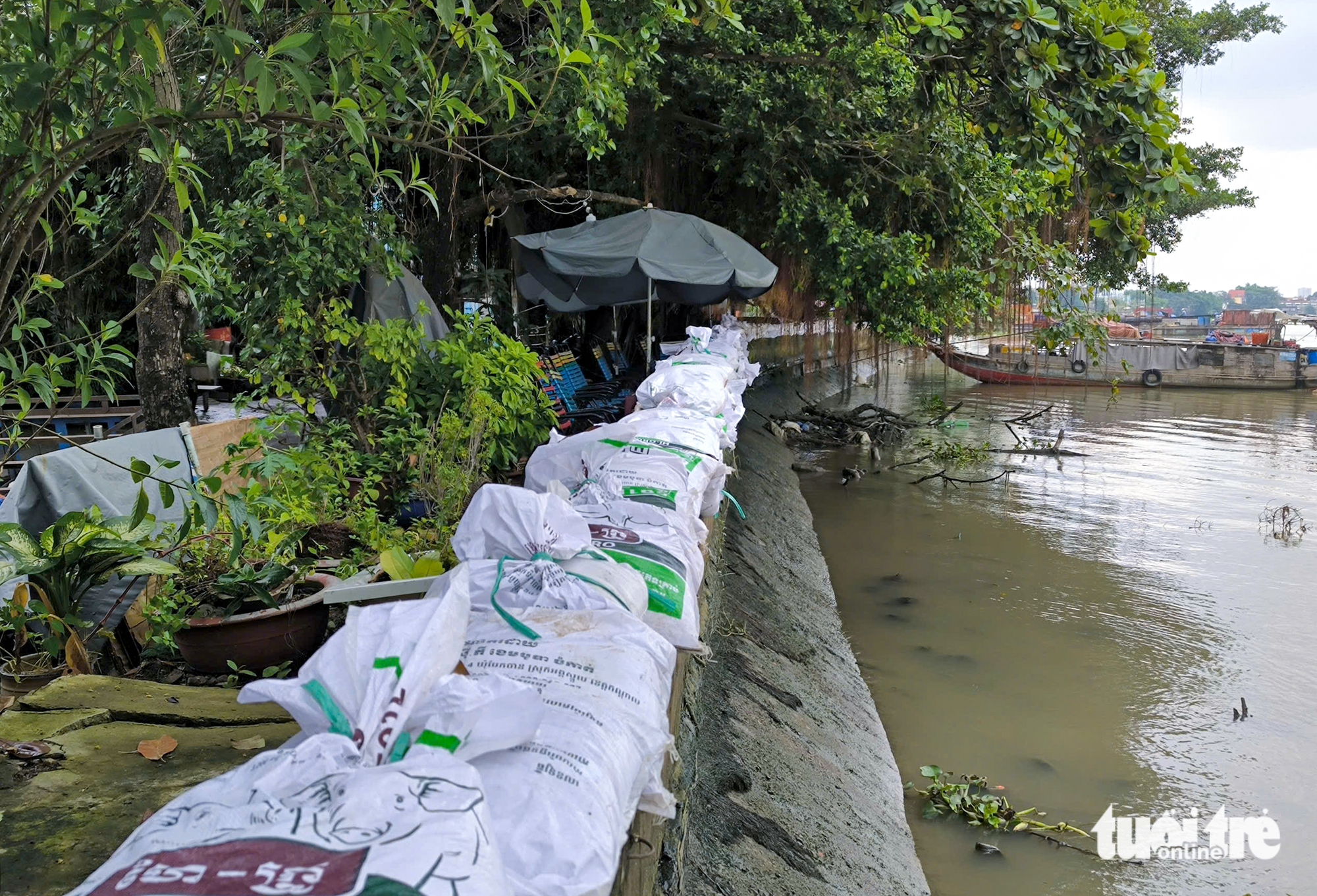 triều cường - Ảnh 1.