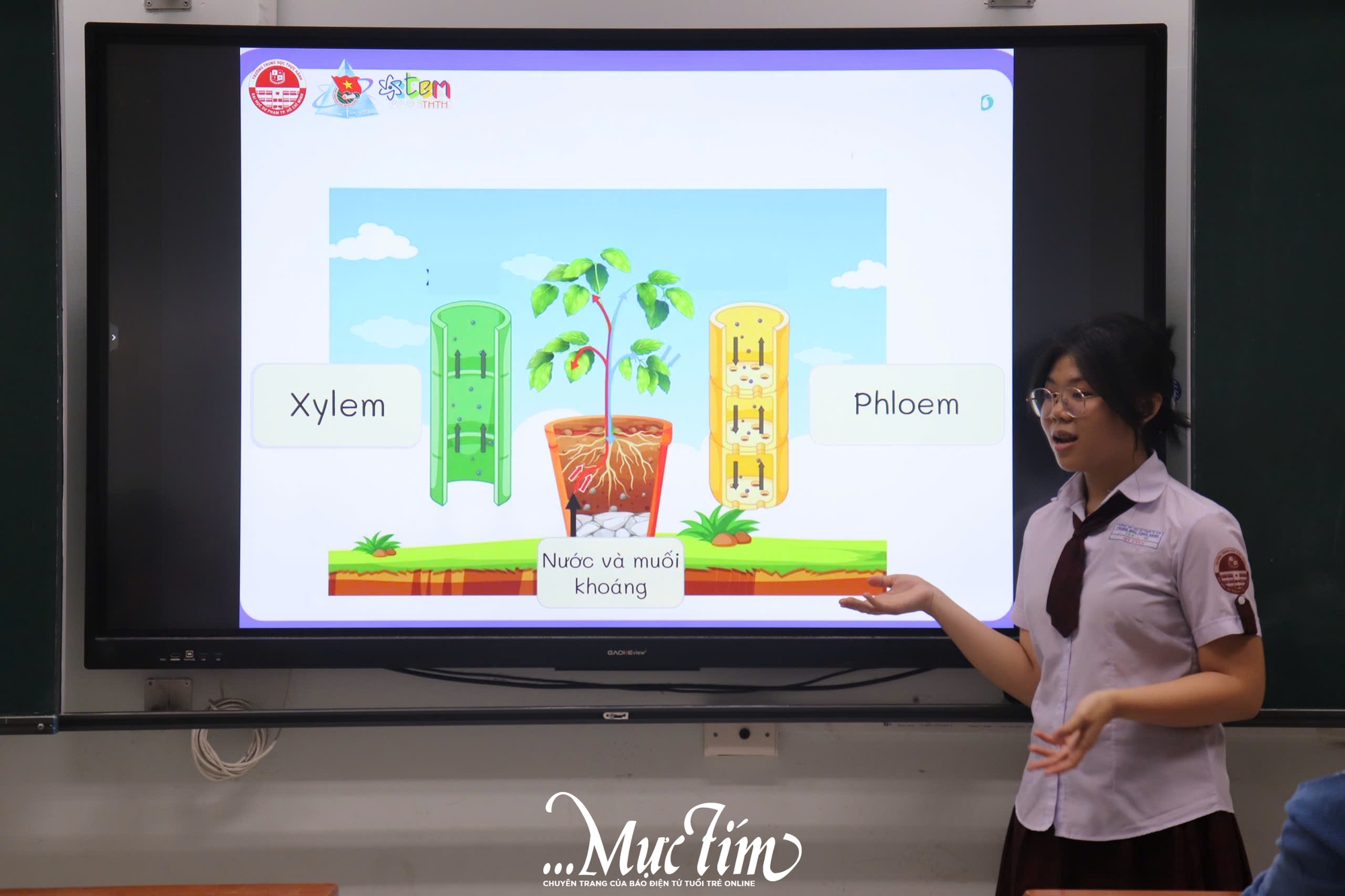 Học trò Trường Trung học Thực hành Đại học Sư phạm rủ nhau nhuộm hoa tặng thầy cô- Ảnh 2.