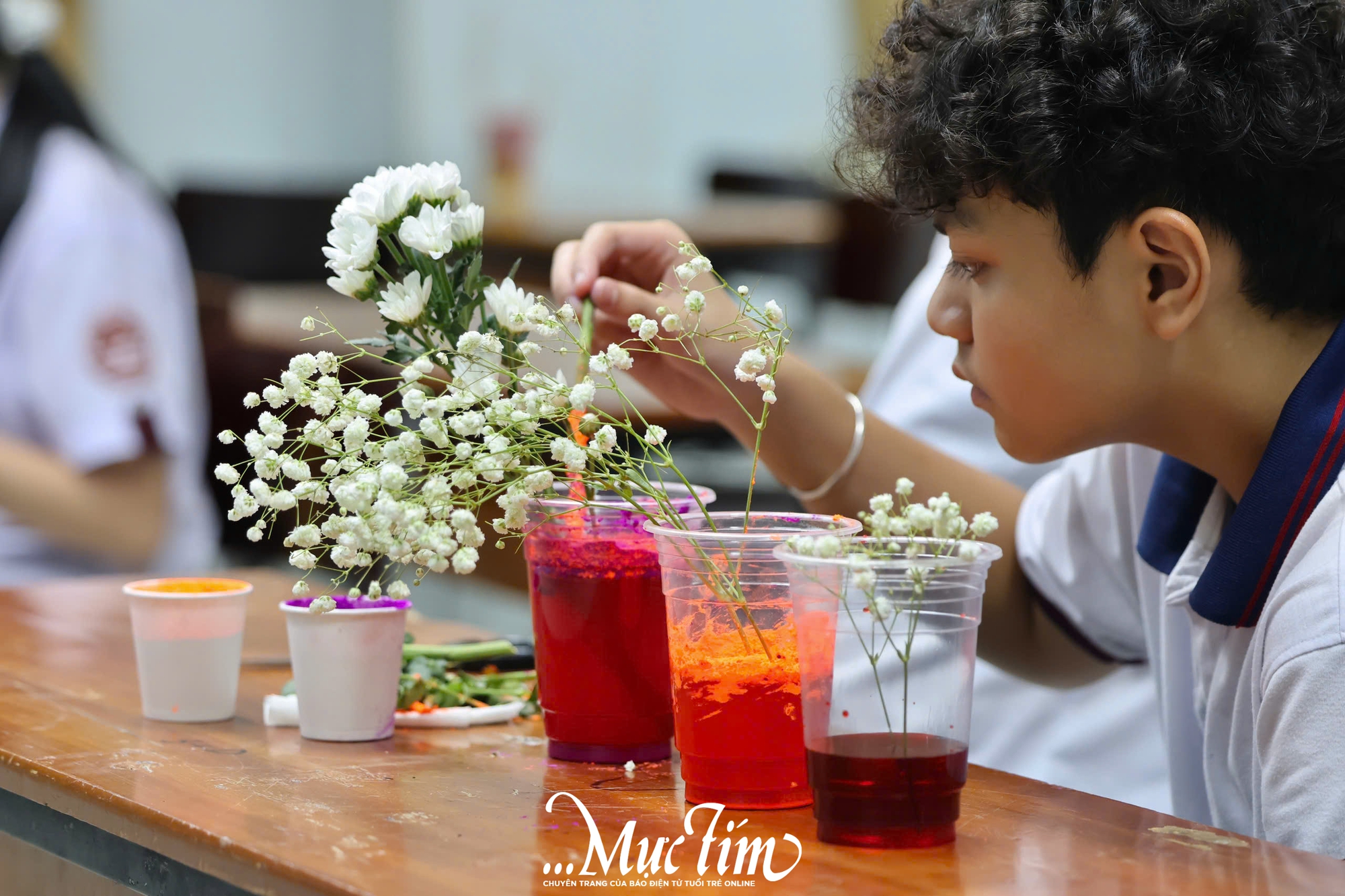 Học trò Trường Trung học Thực hành Đại học Sư phạm rủ nhau nhuộm hoa tặng thầy cô- Ảnh 8.