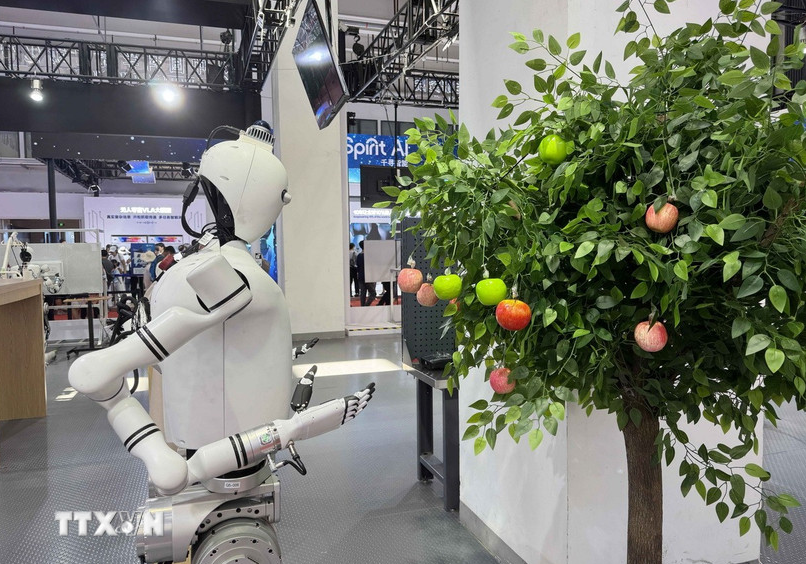 robot hình người - Ảnh 1.