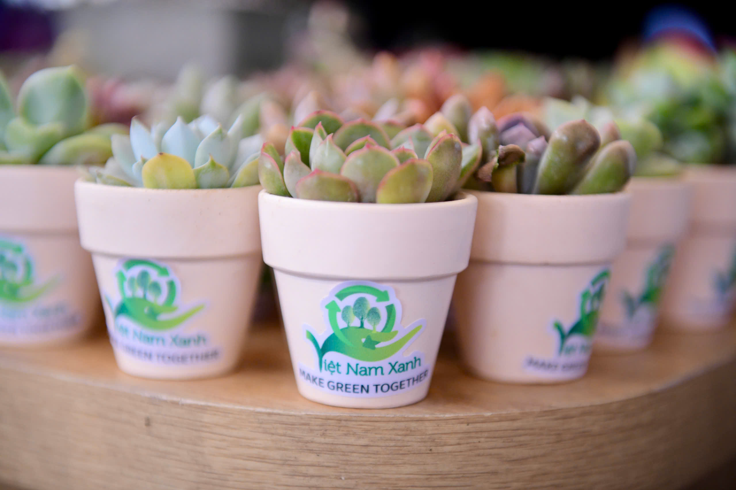 Việt Nam Xanh - Ảnh 4.