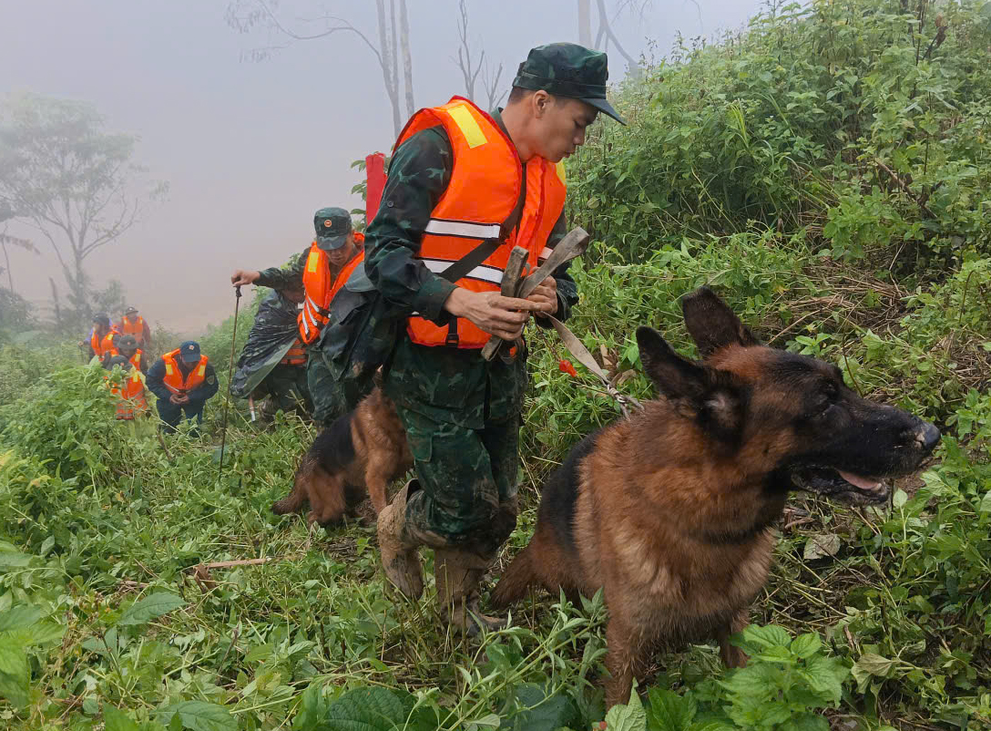 sạt lở - Ảnh 6.