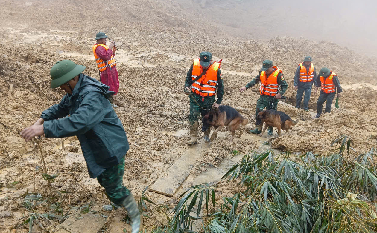 sạt lở - Ảnh 8.