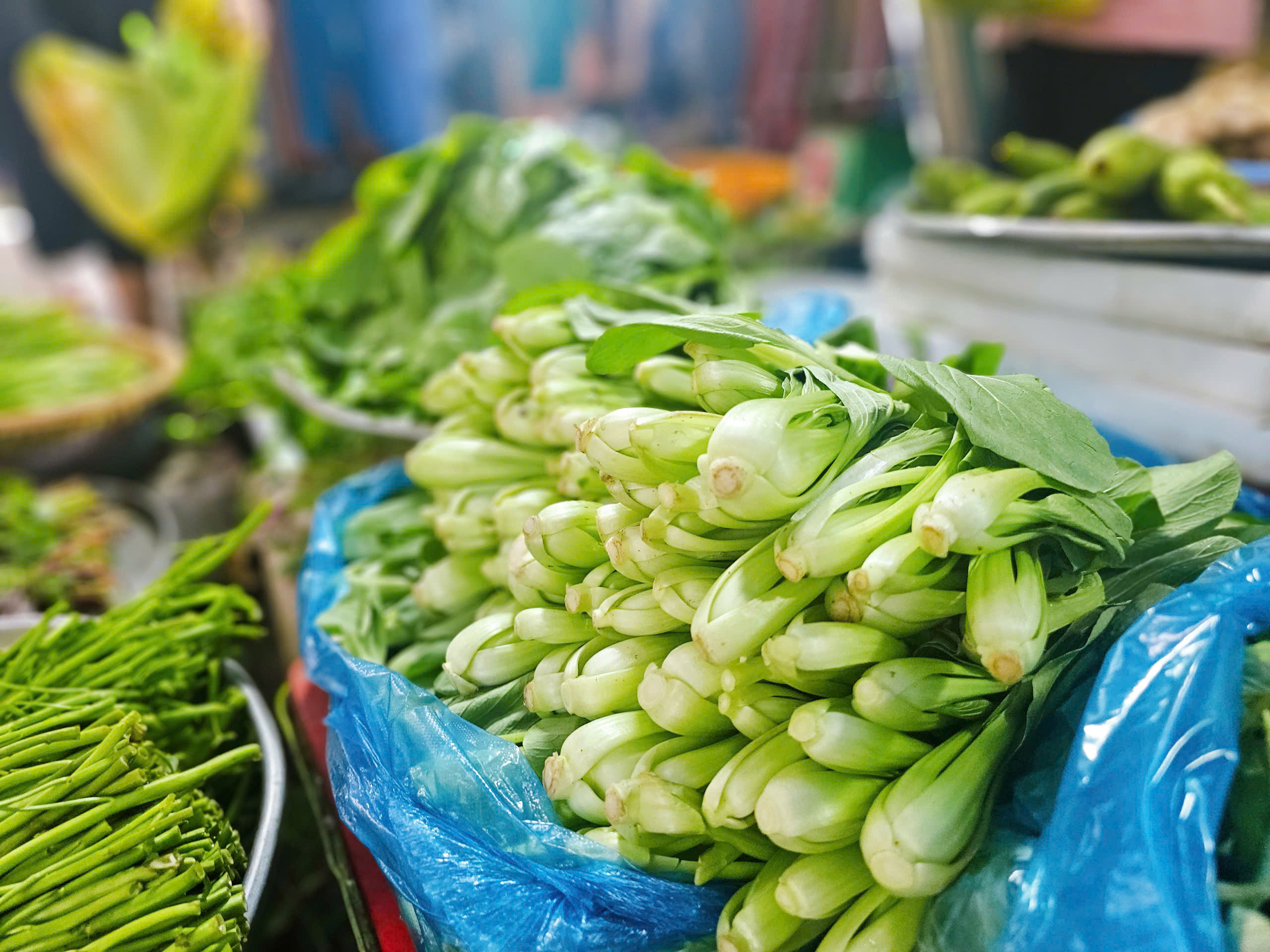 rau họ cải - Ảnh 1.