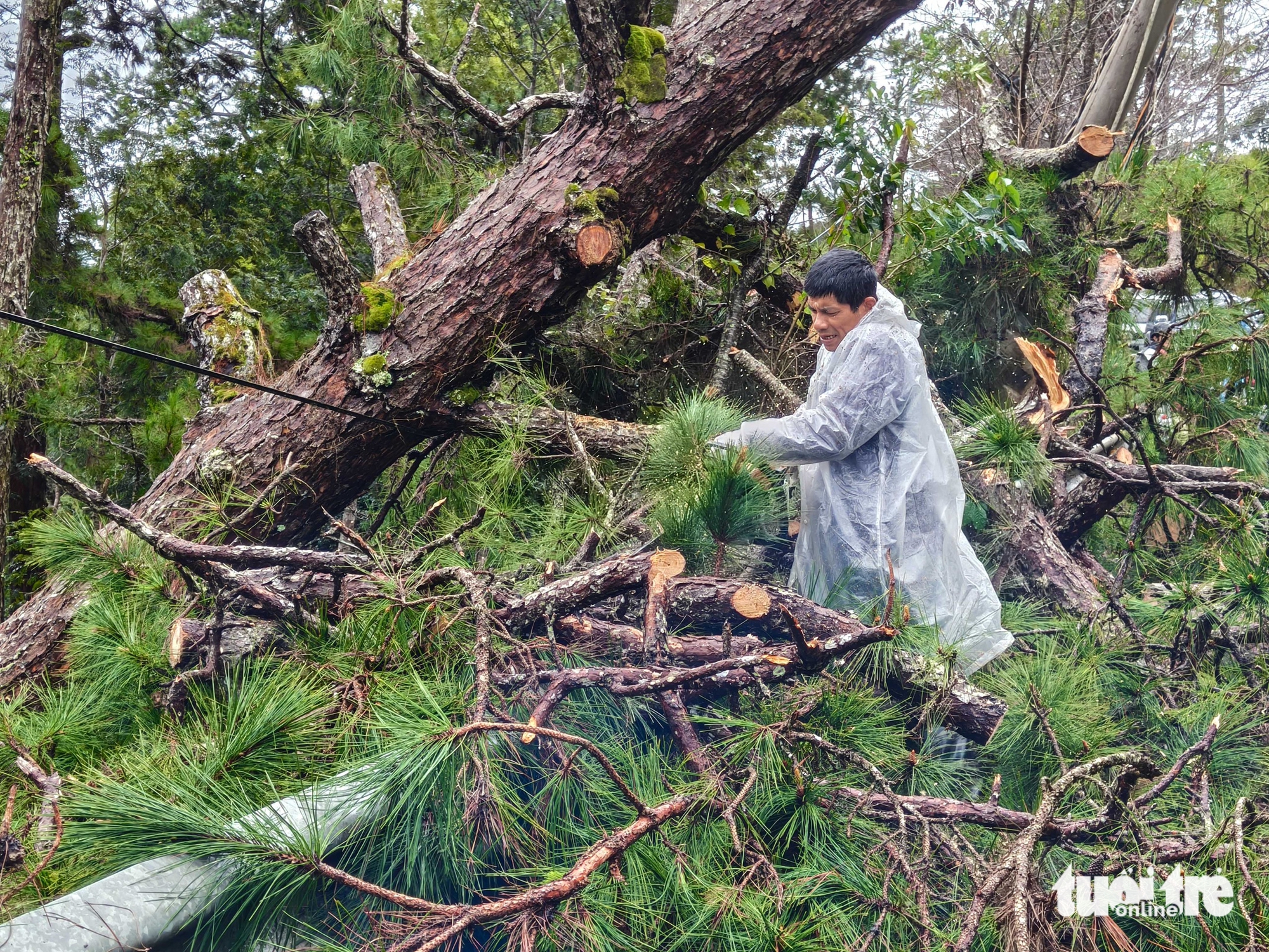 Đà Lạt bị cô lập sau khi nhiều đèo sạt lở là tin thất thiệt - Ảnh 1.