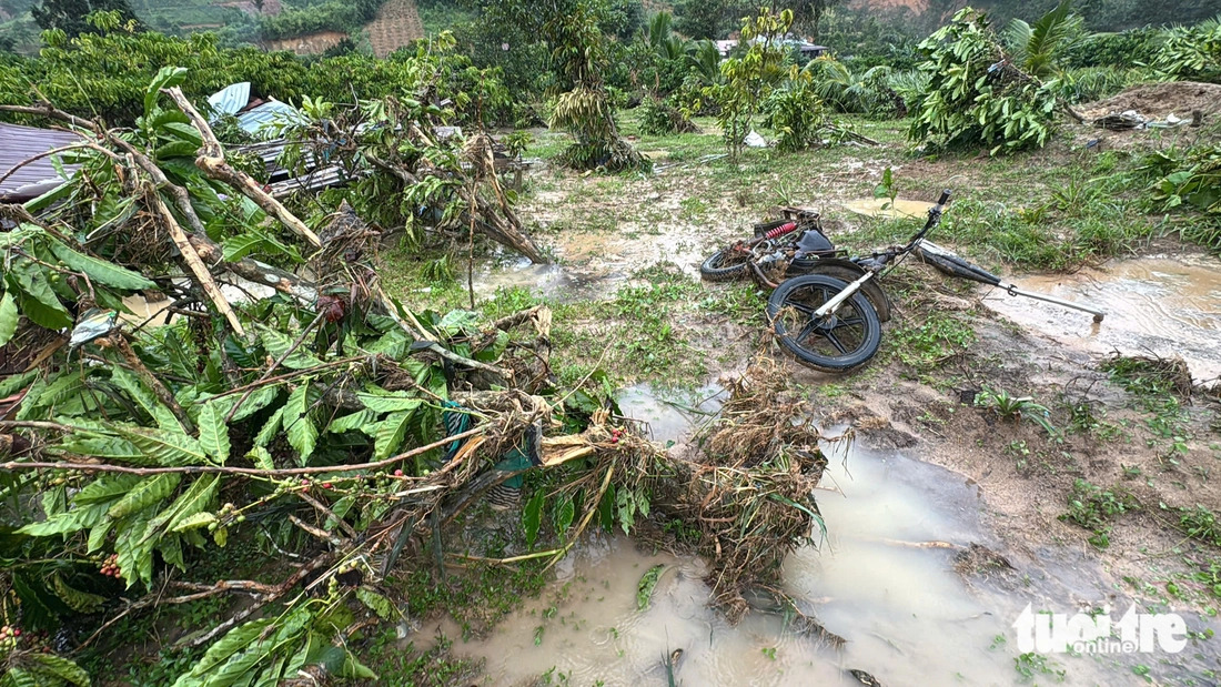 Vietnam’s deputy PM orders urgent evacuations as severe flooding hits Dak Lak- Ảnh 9. Vietnam’s deputy PM orders urgent evacuations as severe flooding hits Dak Lak- Ảnh 9.