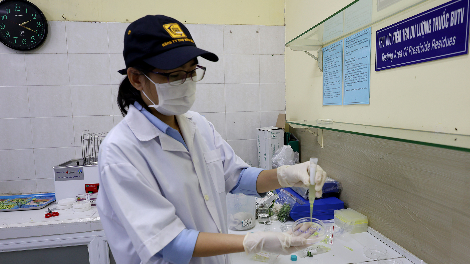 Bình Điền - Ảnh 4.