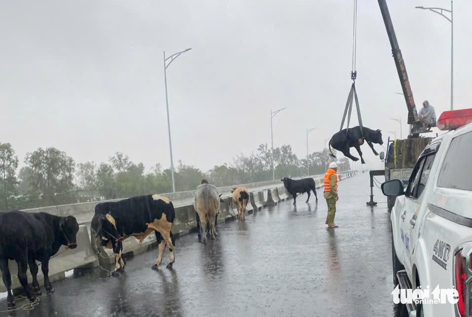 Vietnam’s deputy PM orders urgent evacuations as severe flooding hits Dak Lak- Ảnh 12. Vietnam’s deputy PM orders urgent evacuations as severe flooding hits Dak Lak- Ảnh 12.