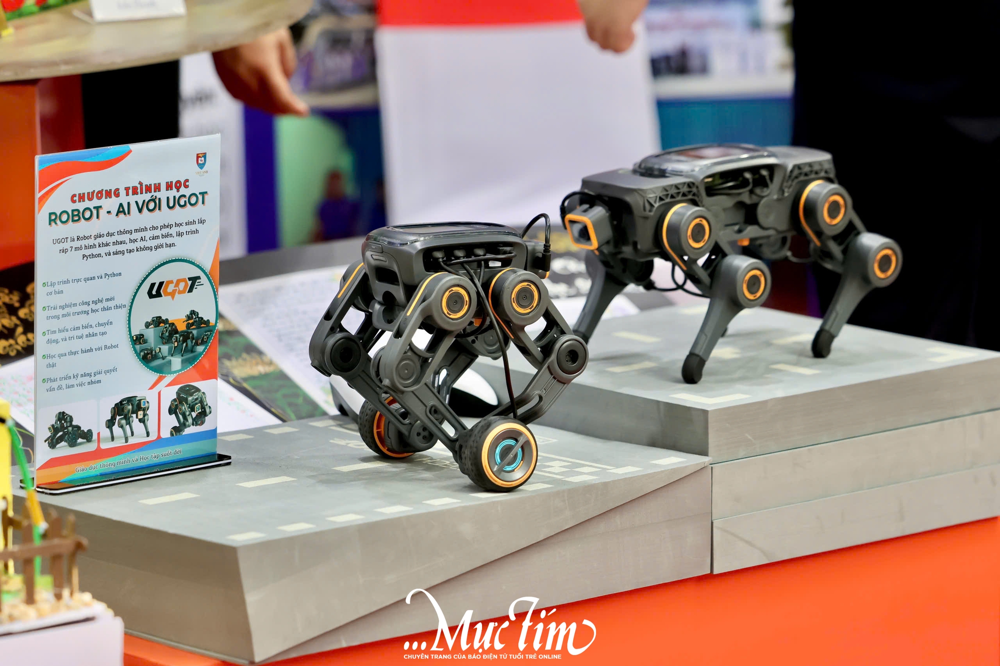 Học sinh thành phố khoe tài sáng tạo tại triển lãm 50 năm ngành giáo dục TP.HCM - Ảnh 6.