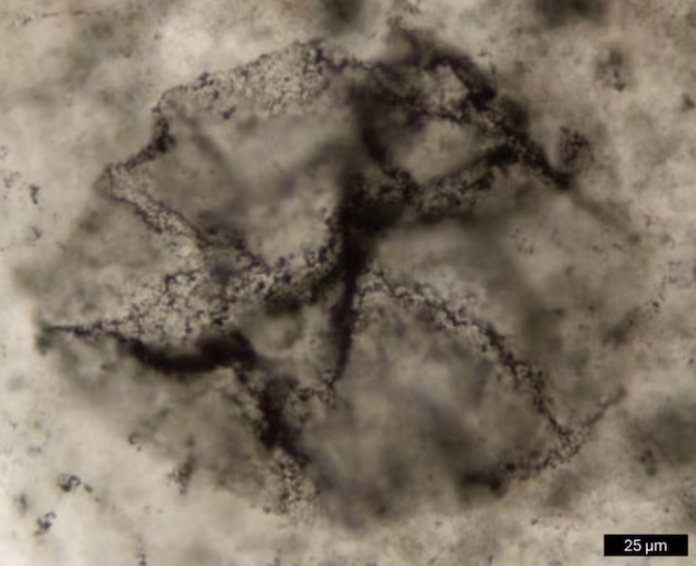 AI phát hiện dấu vết sự sống cổ xưa nhất trên Trái đất - Ảnh 1.