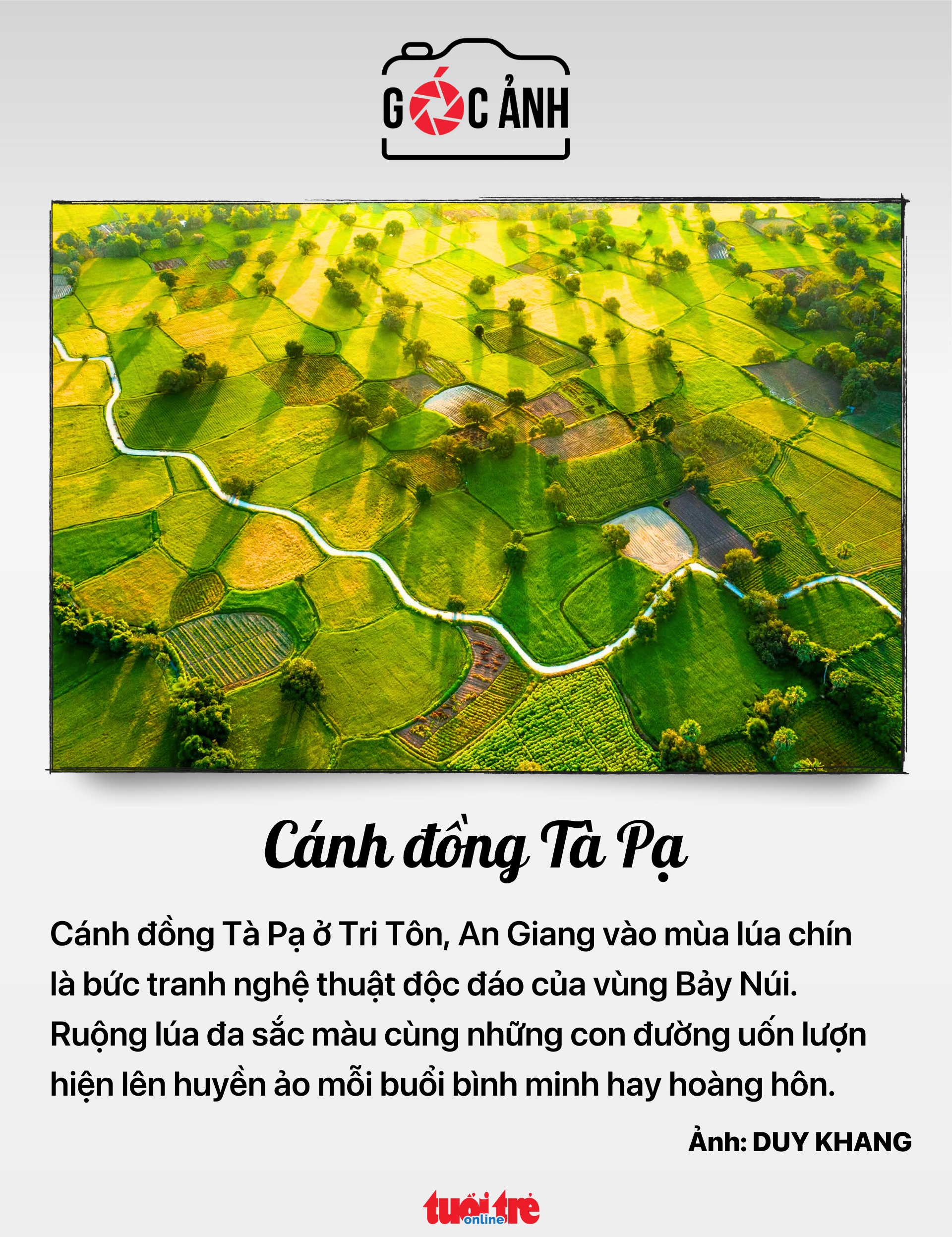 trụ sở dôi dư - Ảnh 8.