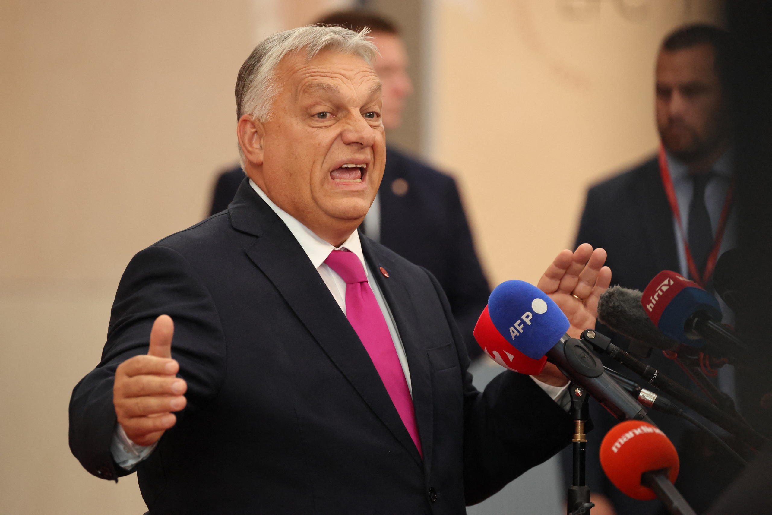 Thủ tướng Hungary - Ảnh 1.