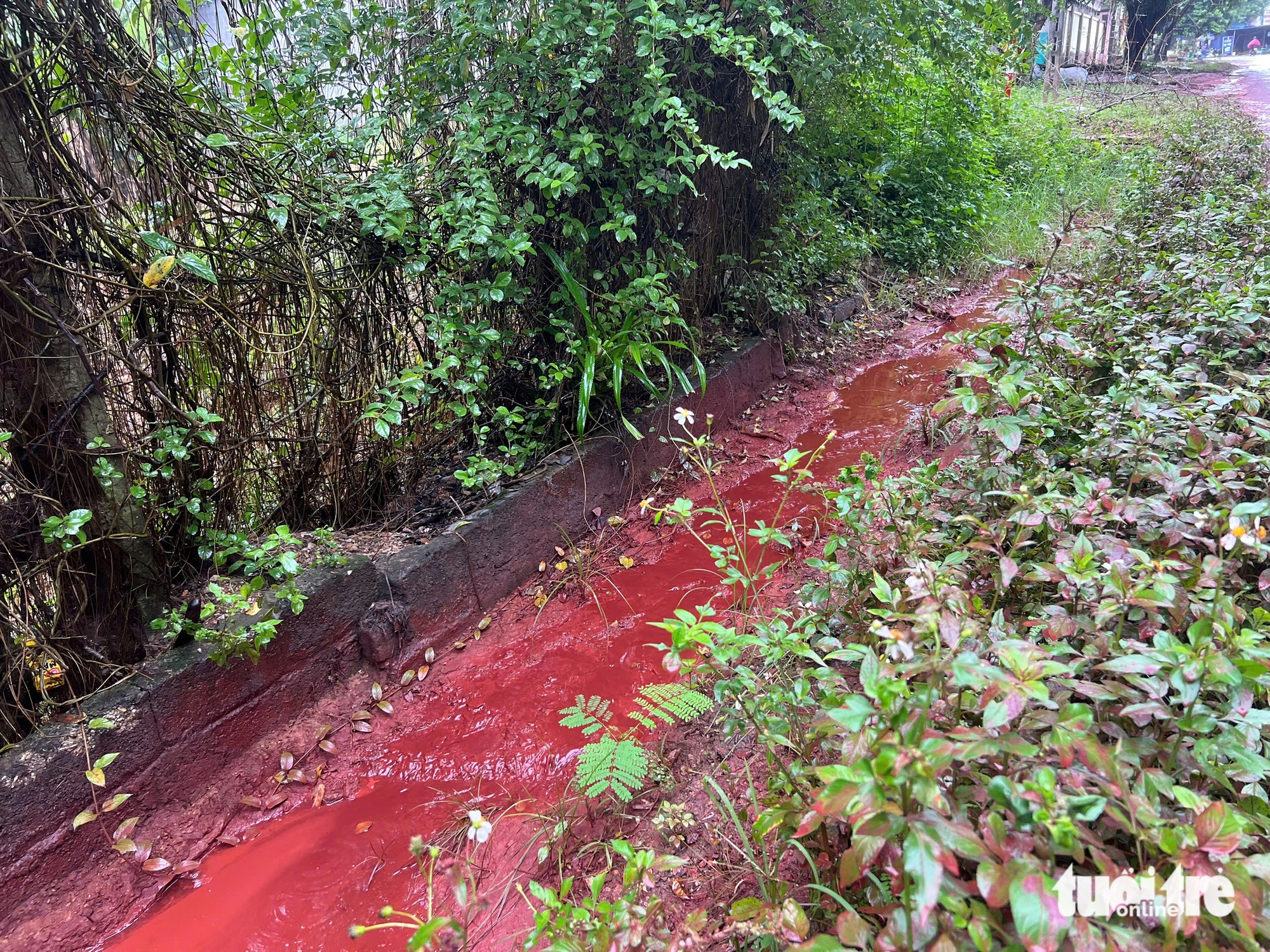 Chất lỏng nhuộm đỏ nhiều đoạn đường ở Thái Nguyên - Ảnh 3.