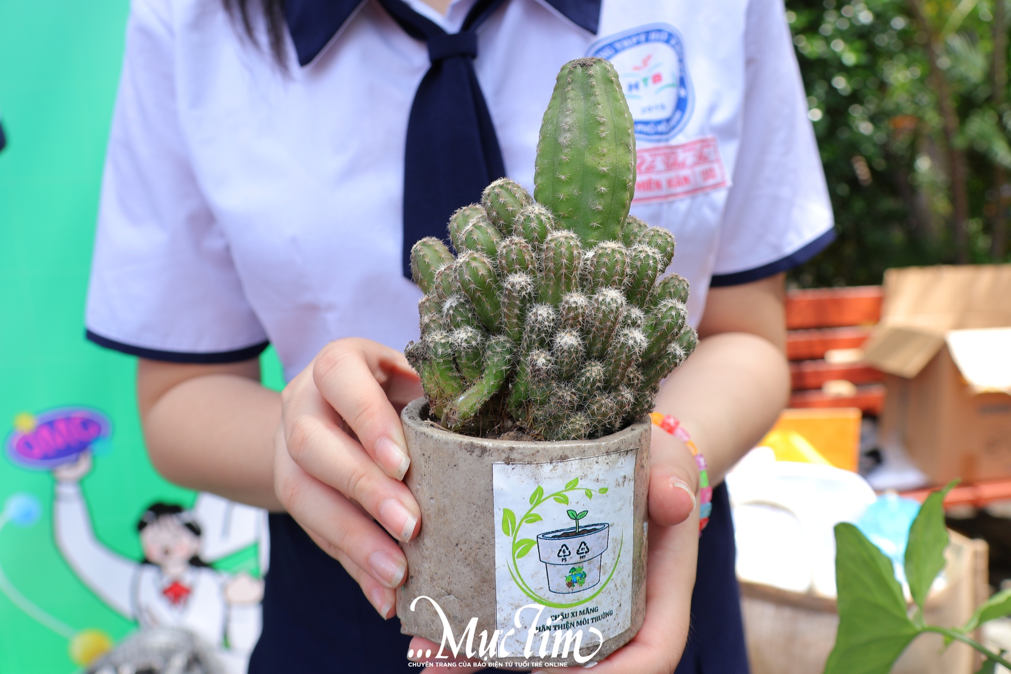 Độc đáo giấy từ thân cây chuối tại Ngày hội Học sinh Trung học phổ thông - Ảnh 4.