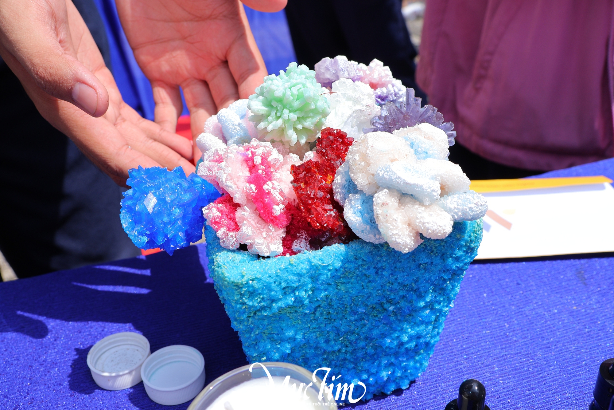 Độc đáo giấy từ thân cây chuối tại Ngày hội Học sinh Trung học phổ thông - Ảnh 8.