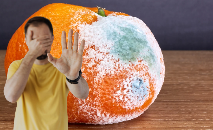 thực phẩm mốc - Ảnh 1.