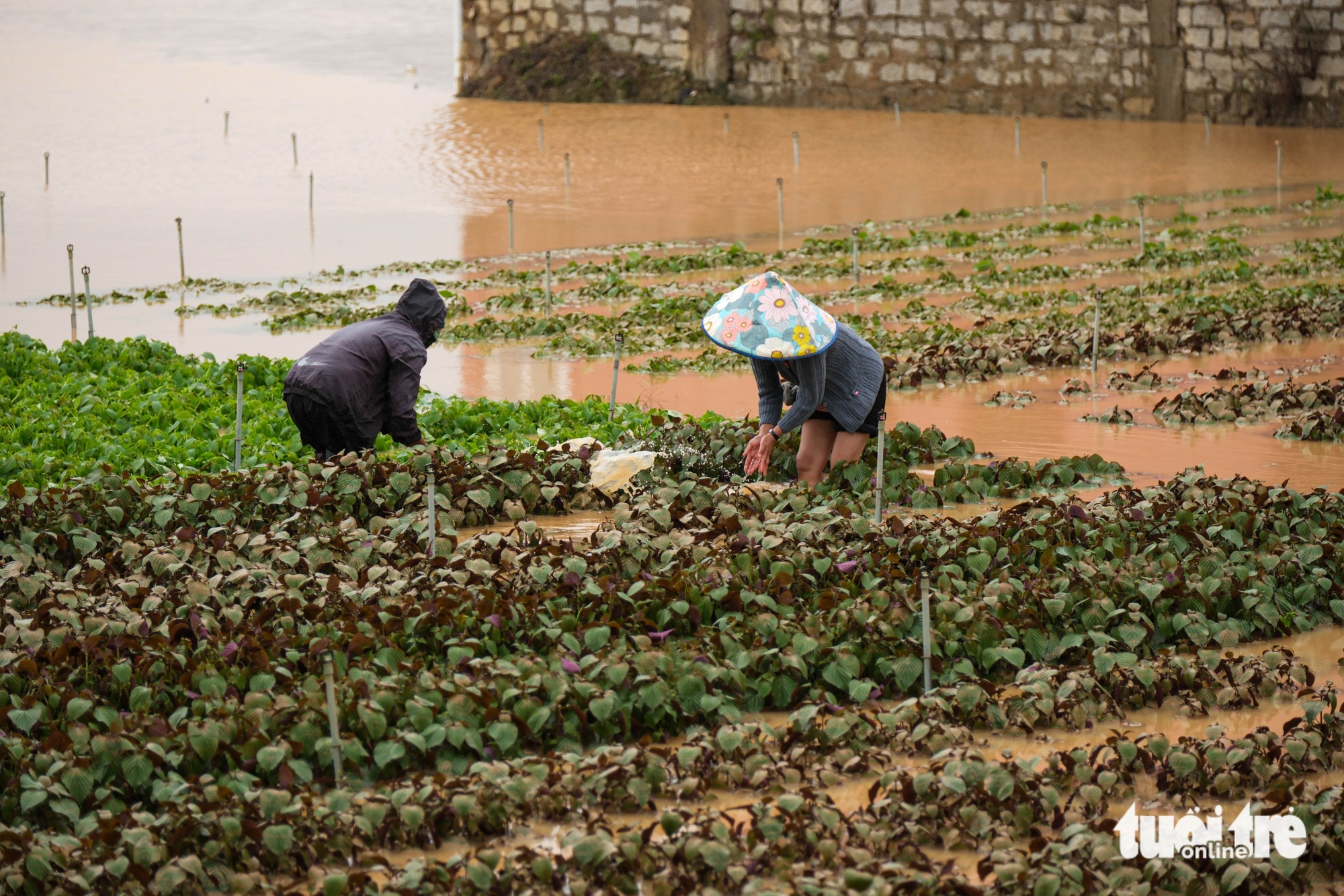 Cảnh tan hoang sau khi thủy điện Đa Nhim xả lũ giữa đêm - Ảnh 9.