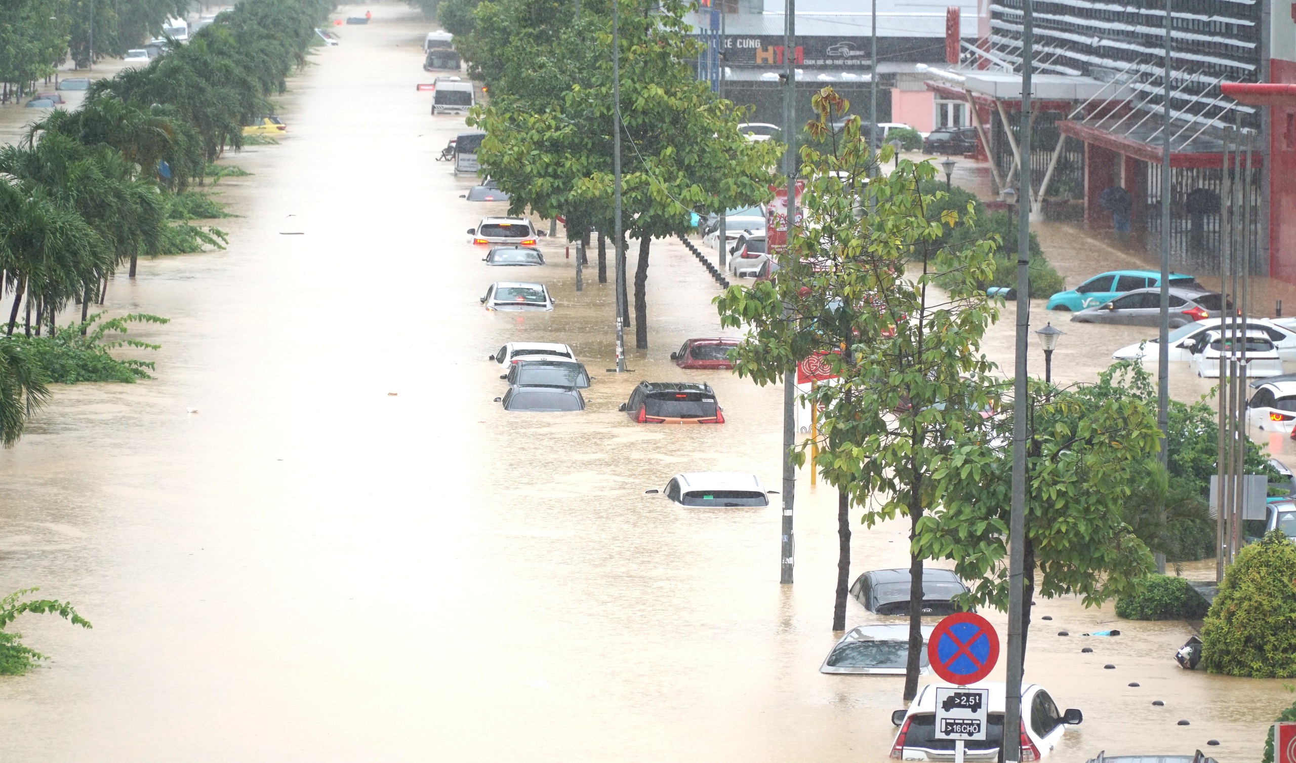 ngập lụt - Ảnh 1.