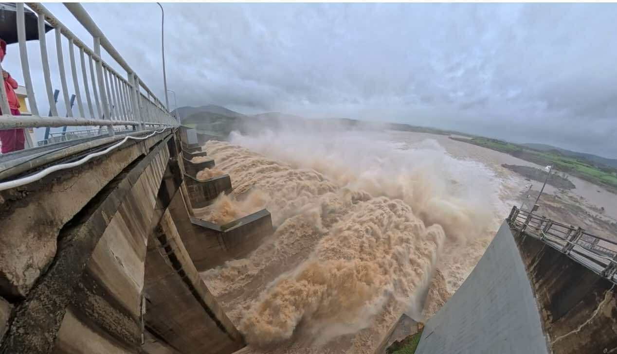 phó thủ tướng - Ảnh 1.