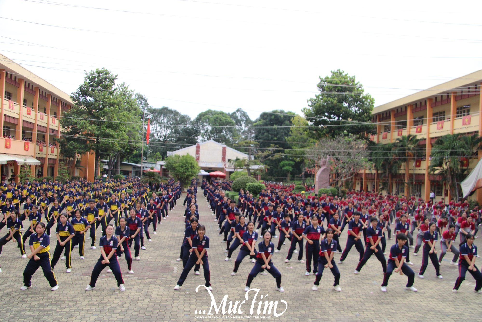 630 học sinh Trường THPT Tạ Quang Bửu cùng đồng diễn võ nhạc - Ảnh 3.
