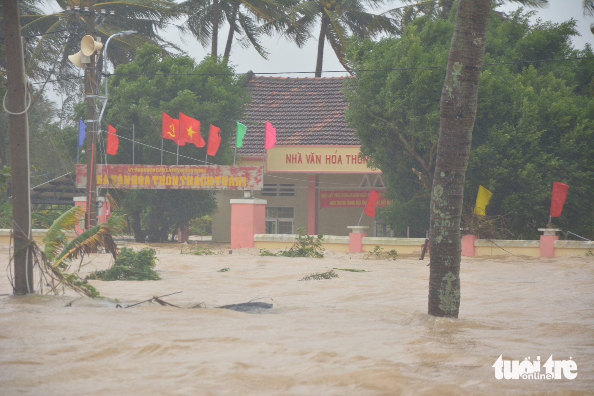 Phú Yên - Ảnh 5.