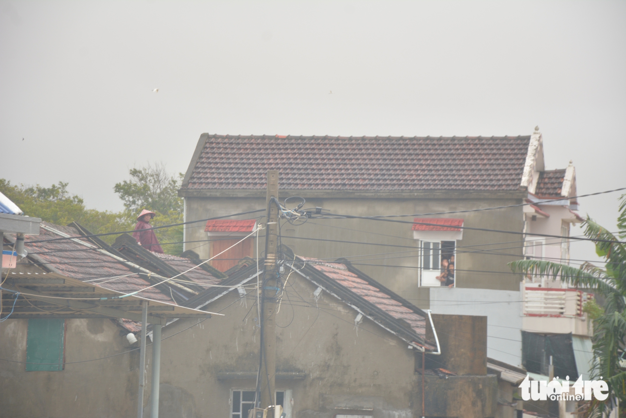 Phú Yên - Ảnh 8.