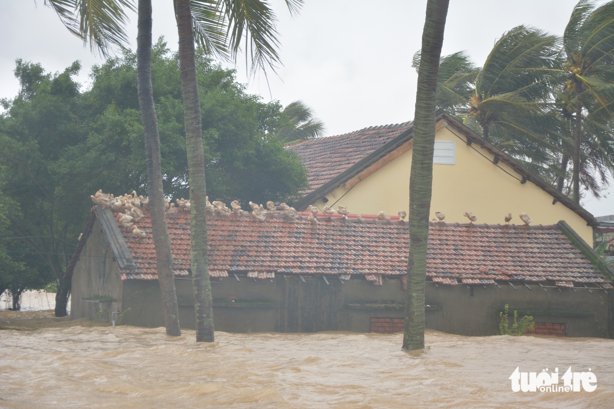 Phú Yên - Ảnh 11.