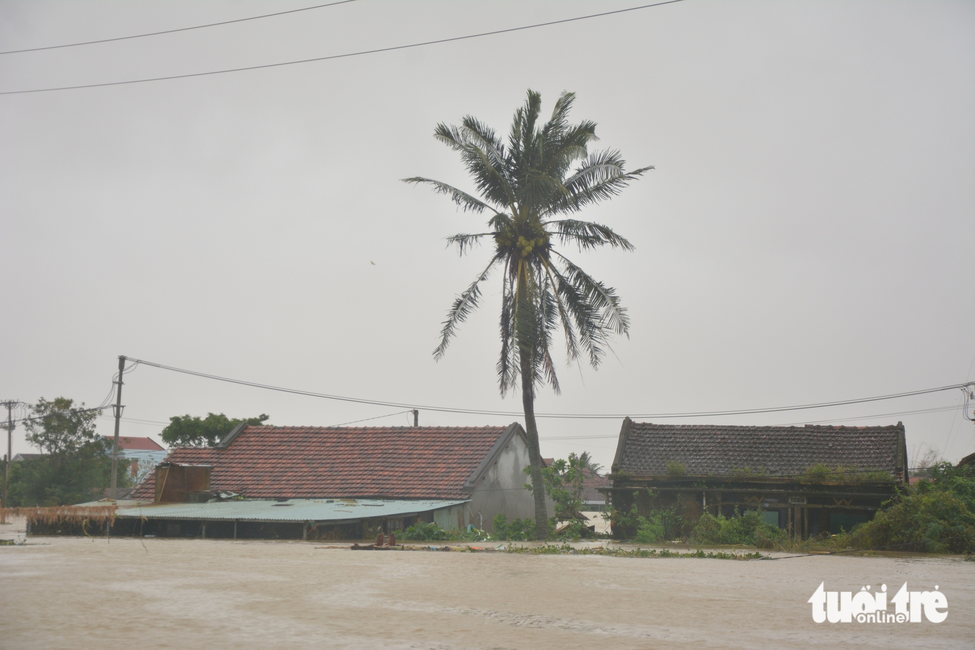 Phú Yên - Ảnh 12.