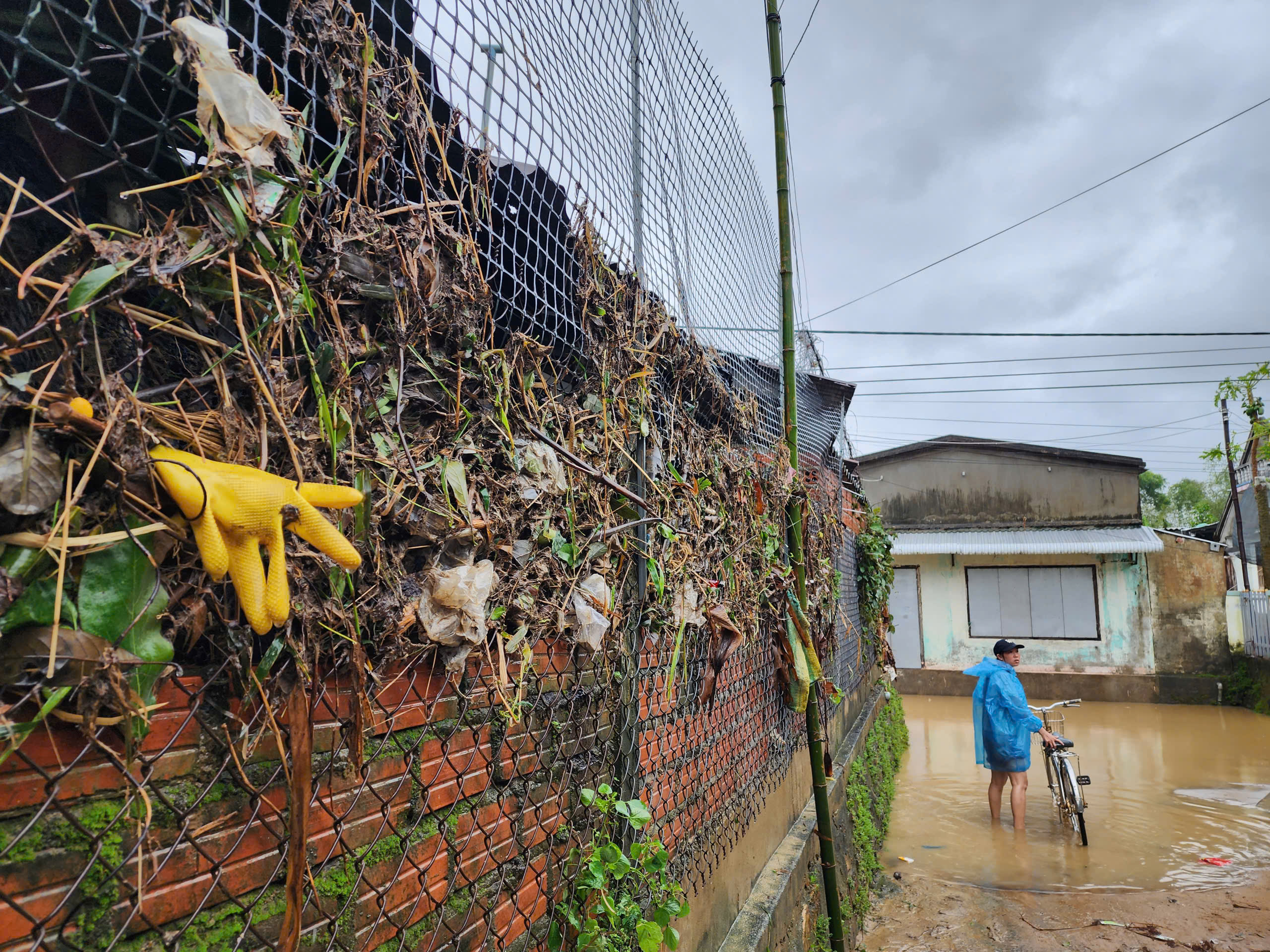 Bò chết la liệt sau trận lũ tàn khốc, người dân khóc nghẹn bên xác bò - Ảnh 4.