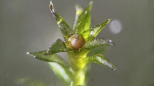 không gian - Ảnh 1.