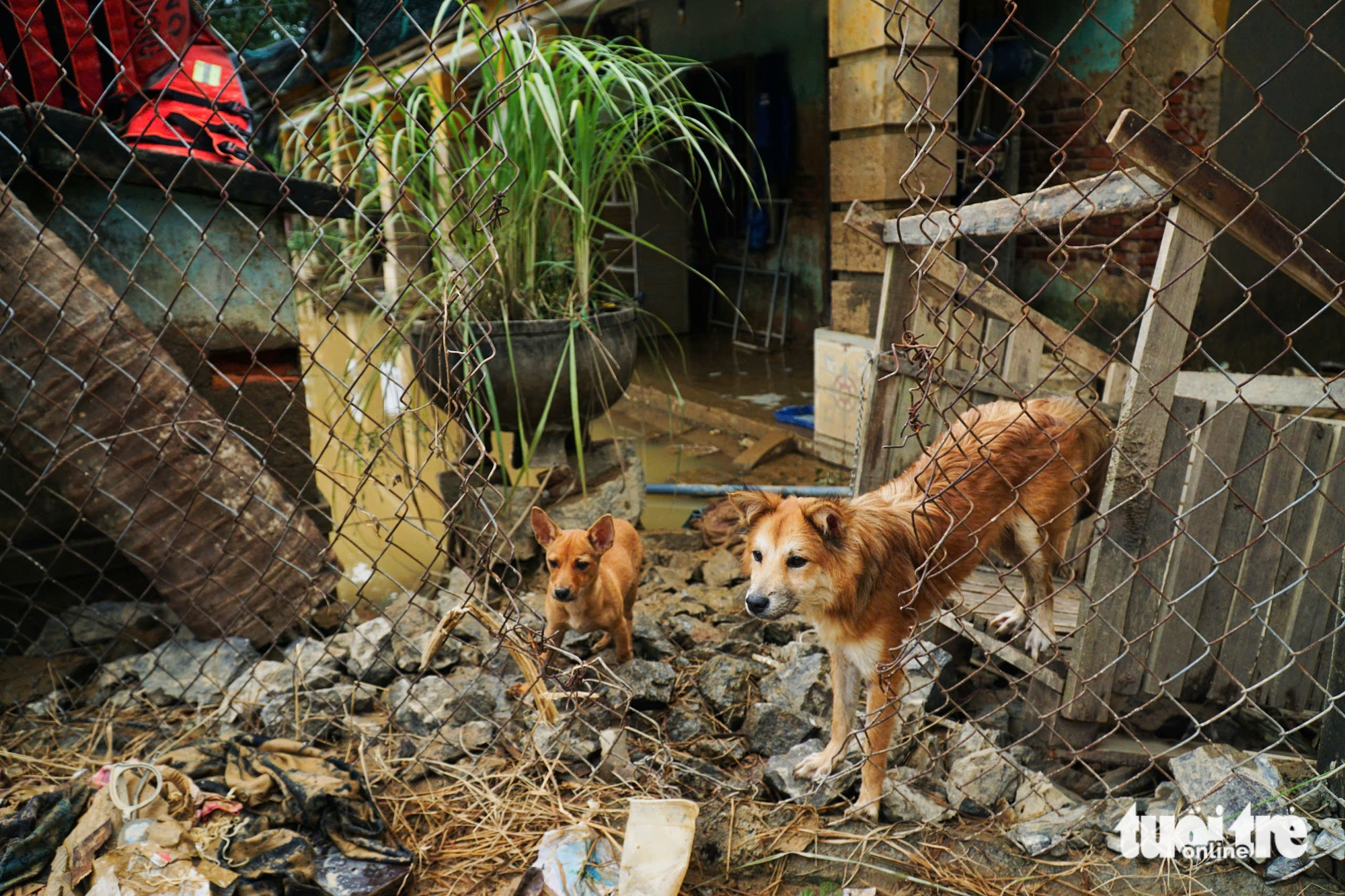 Khánh Hòa - Ảnh 12.