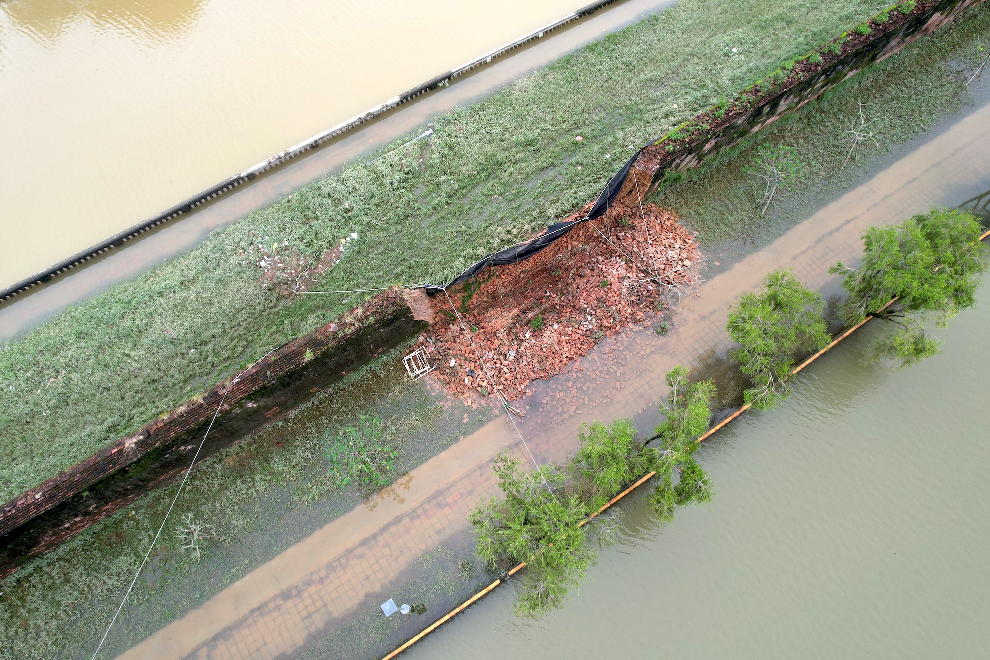 đại nội huế - Ảnh 1.