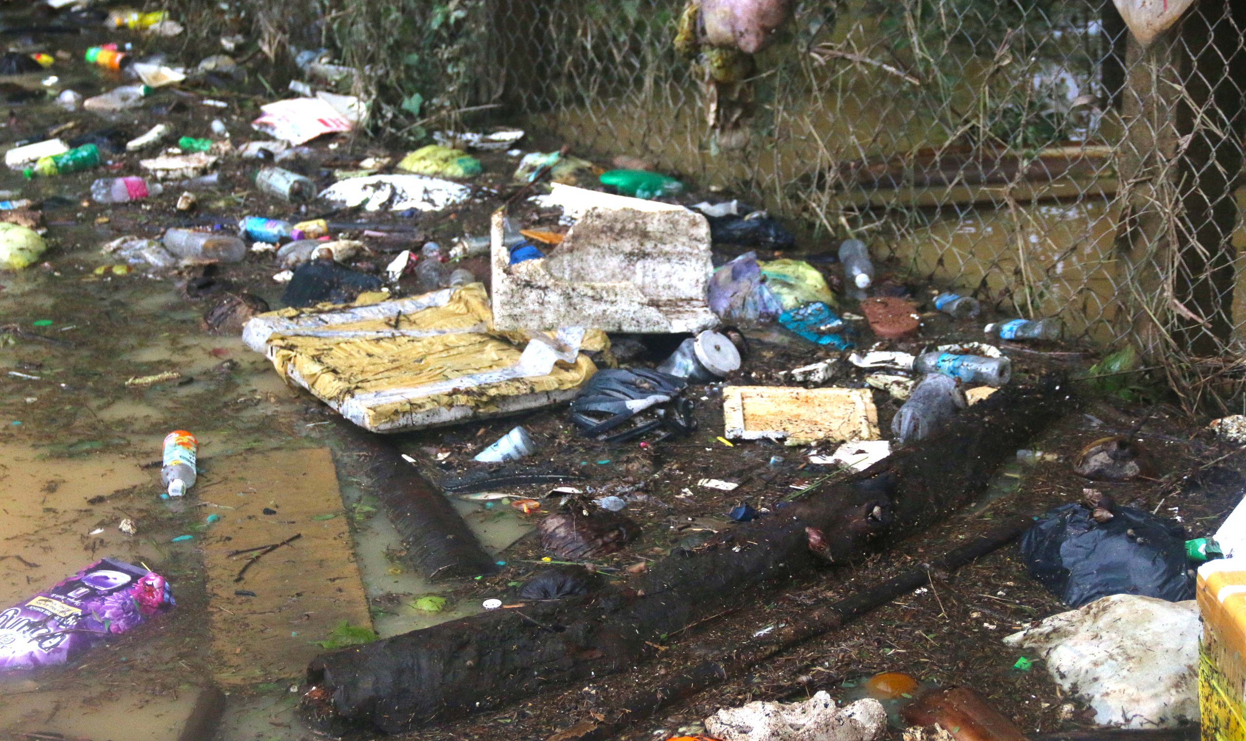 Rescuers save 20-day-old infant stranded in south-central Vietnam floods - Ảnh 4.