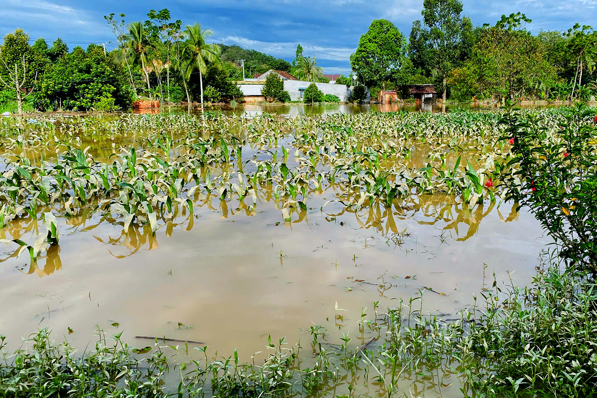 Đồng Nai đề nghị Lâm Đồng phối hợp cung cấp thông tin xả lũ các hồ thủy điện - Ảnh 1.