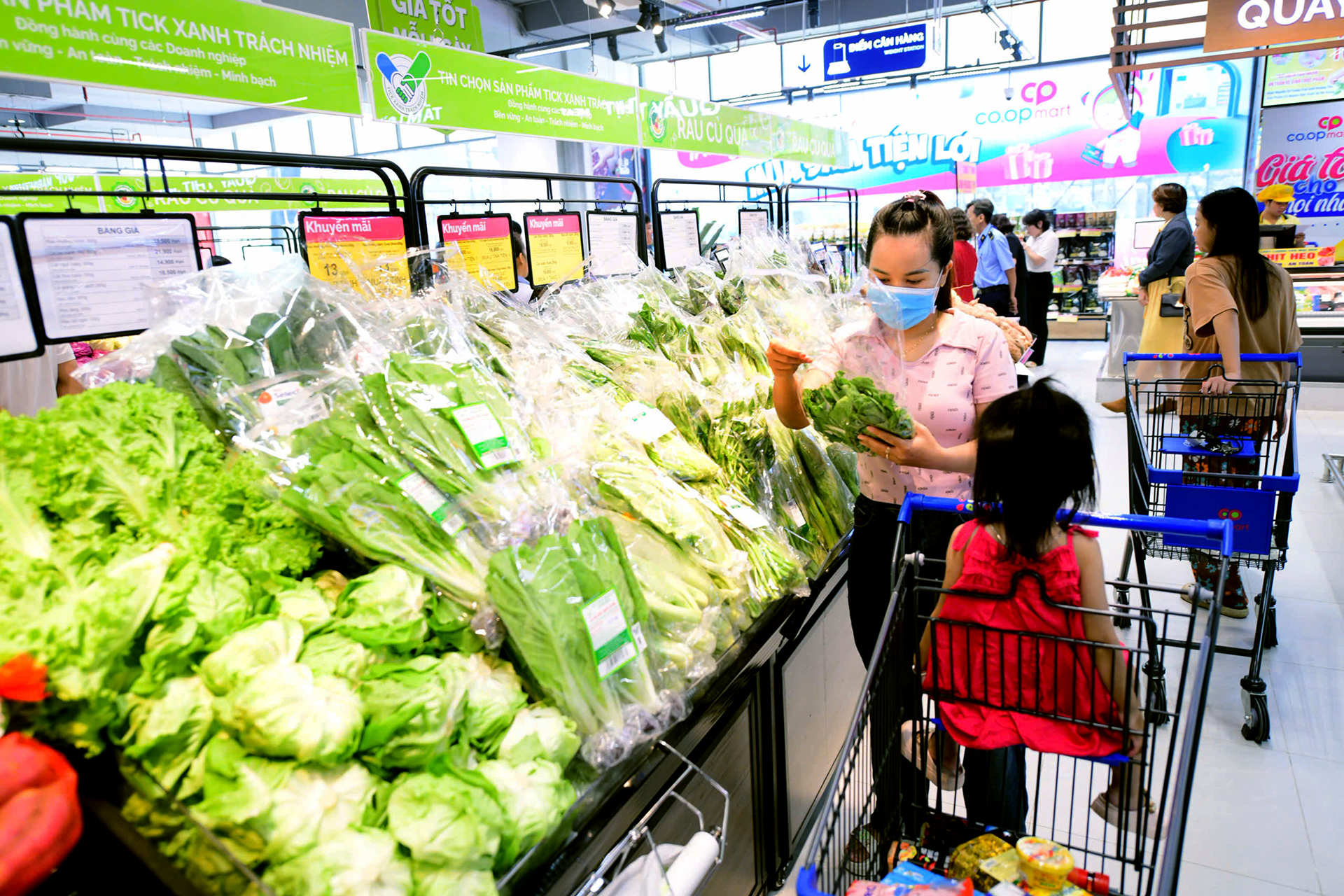 Bình ổn giá rau củ, thực phẩm dù áp lực mưa lũ - Ảnh 1.