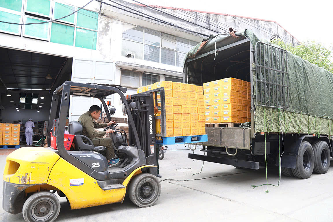 lũ lụt - Ảnh 2.