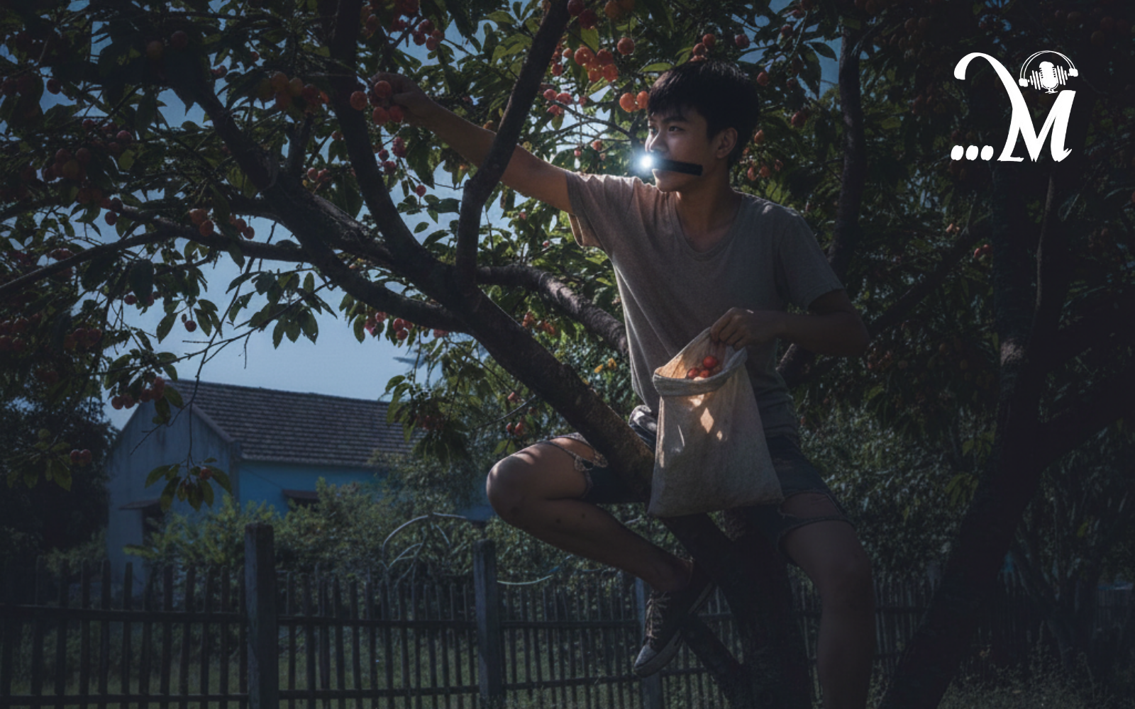 Podcast Mực Tím: Truyện ngắn Tên trộm mơ màng