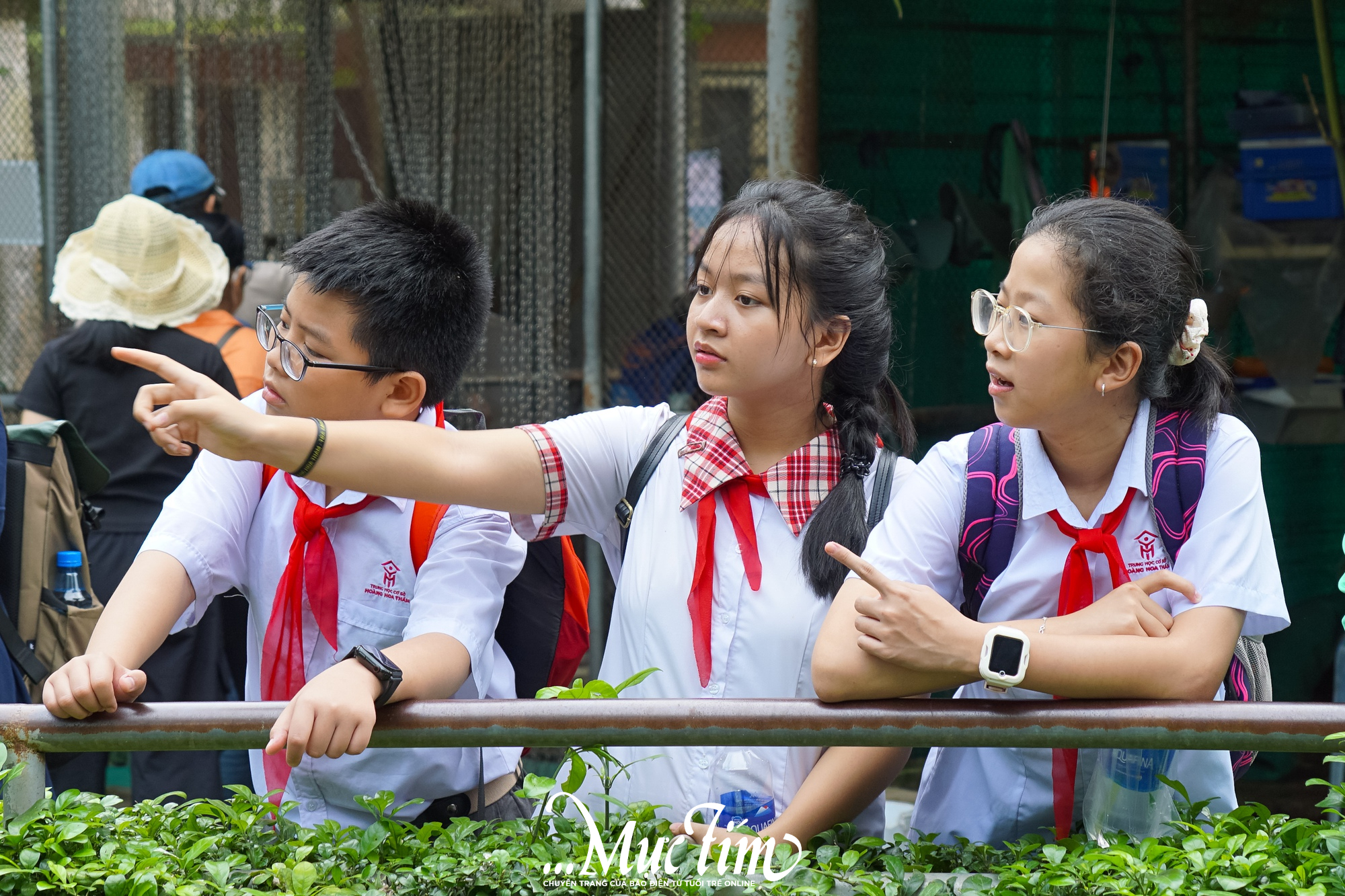 2 giờ khám phá thiên nhiên của các 'đại sứ' Công tắc khoa học tại Thảo cầm viên- Ảnh 11.