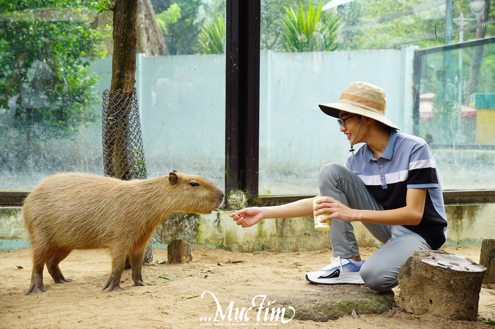 2 giờ khám phá thiên nhiên của các 'đại sứ' Công tắc khoa học tại Thảo cầm viên- Ảnh 13.