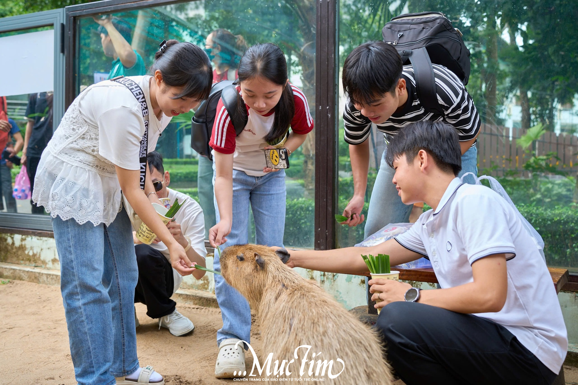 2 giờ khám phá thiên nhiên của các 'đại sứ' Công tắc khoa học tại Thảo cầm viên- Ảnh 6.