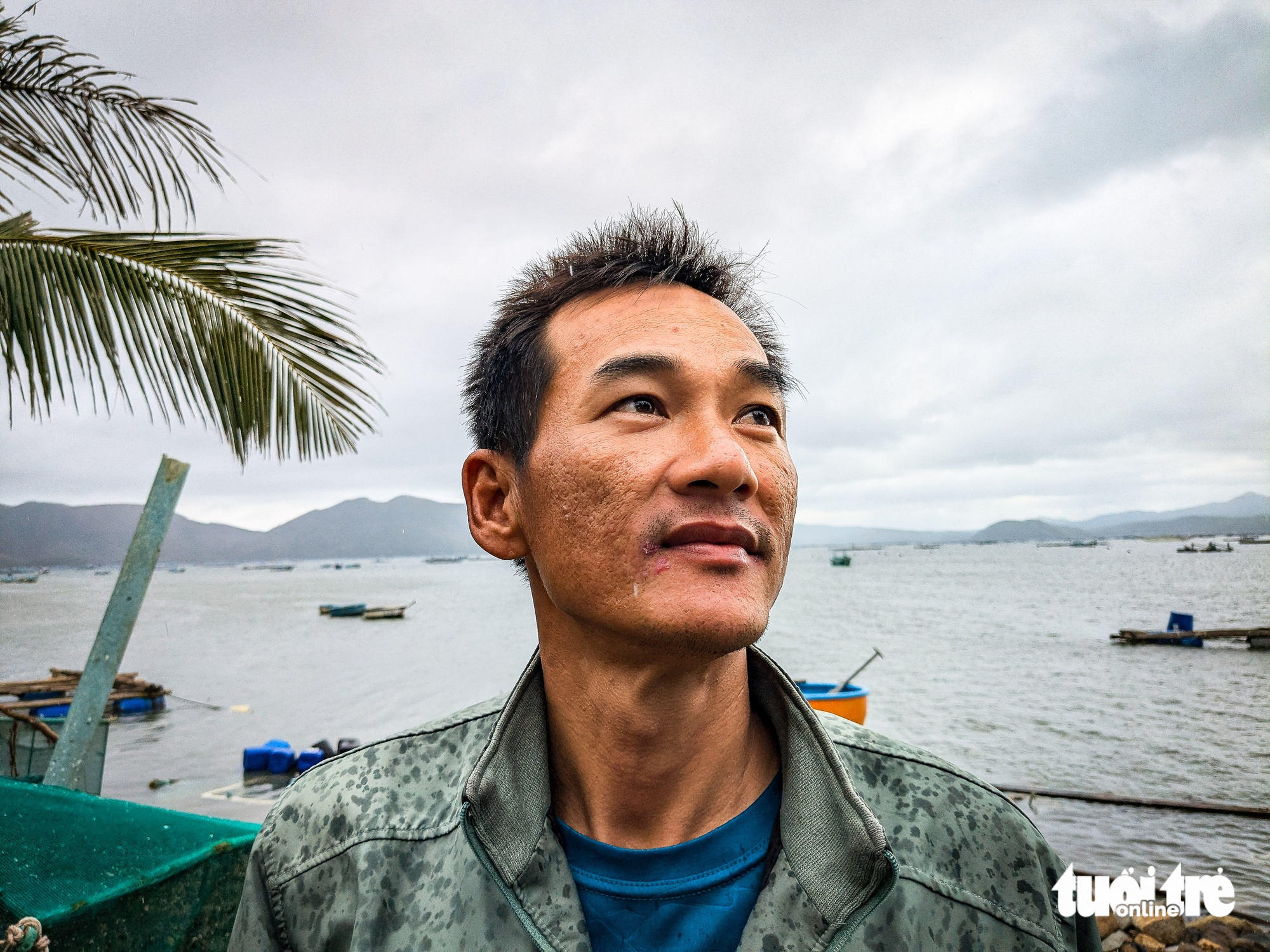 Hơn 3.000 tỉ đồng chìm dưới vịnh Xuân Đài, thủ phủ tôm hùm Sông Cầu tan tác - Ảnh 4.