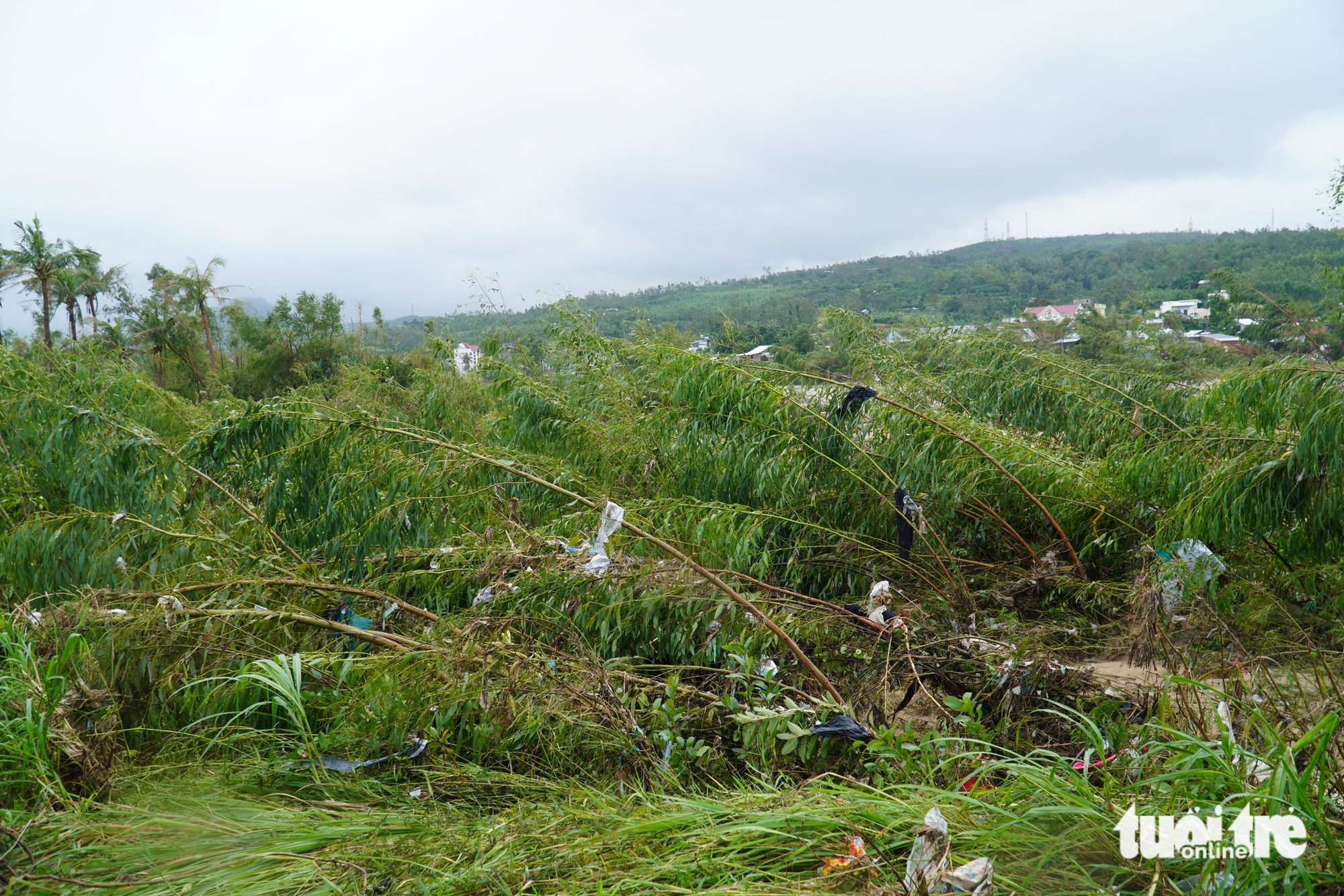 South-central Vietnam flood death toll rises to 91, with over $490mn in damage- Ảnh 3.