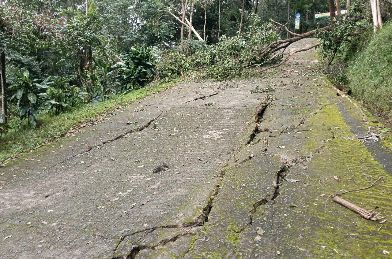 sạt lở - Ảnh 1.