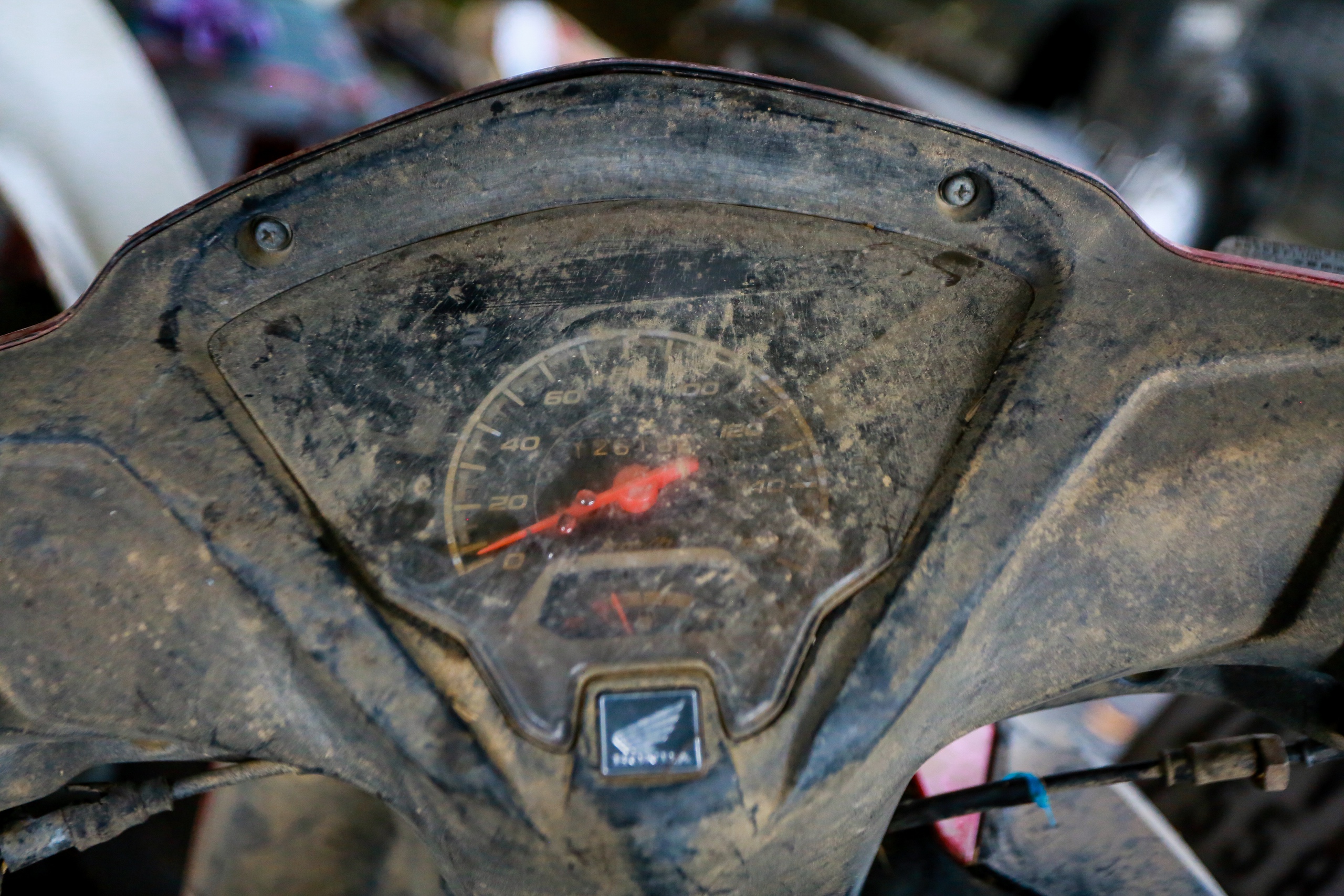 Phú Yên - Ảnh 8.